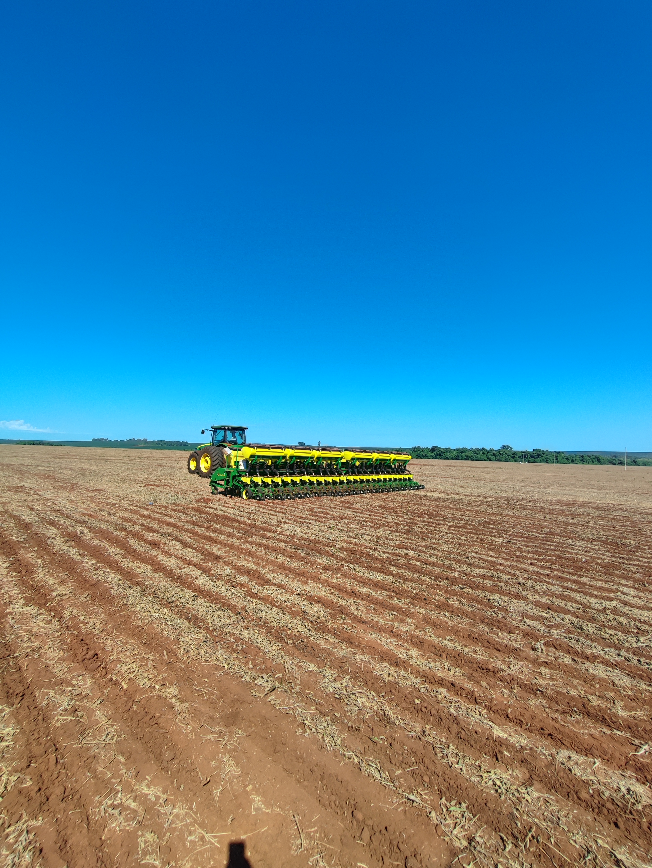 Campo 14