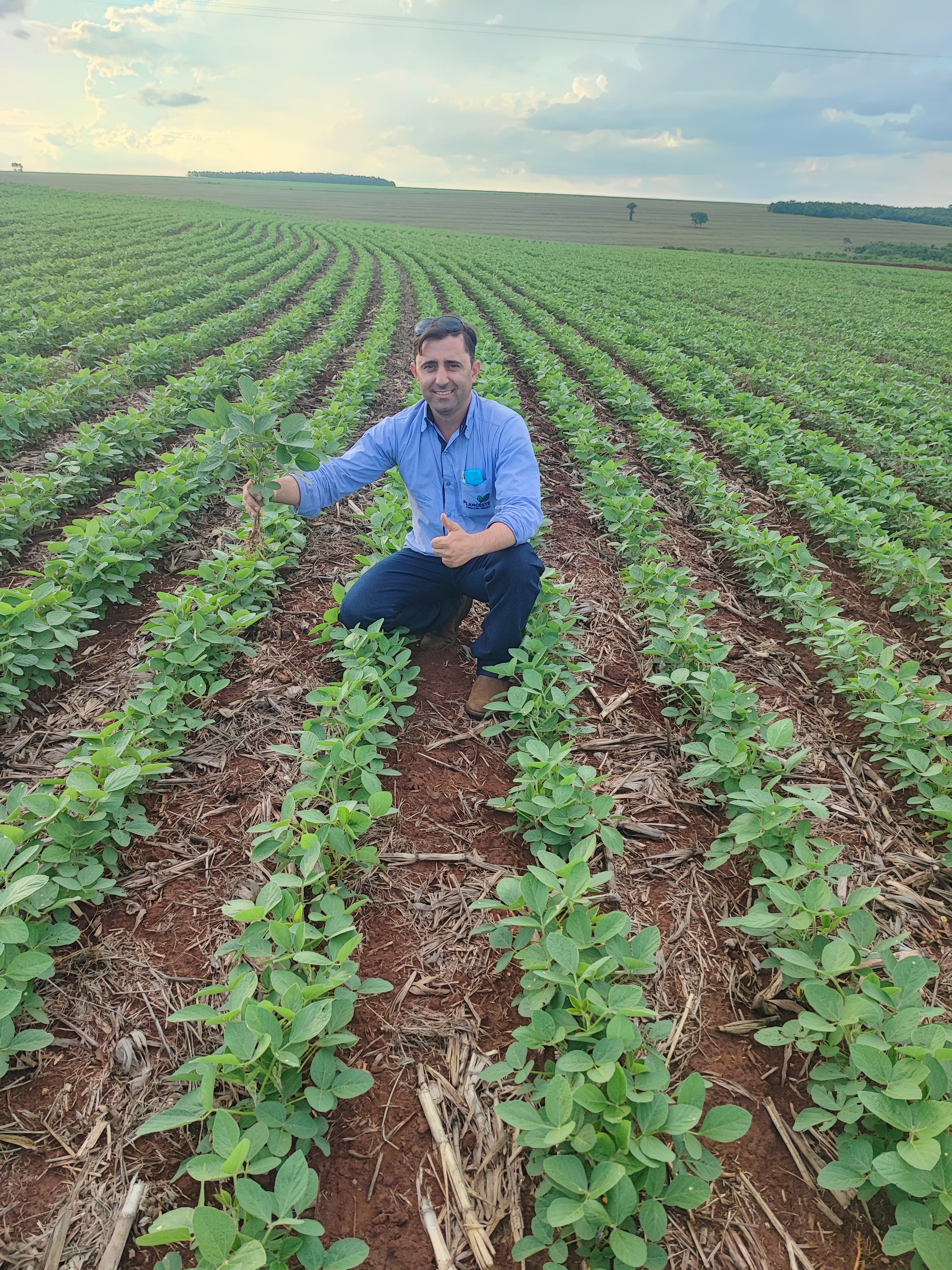 Campo 18