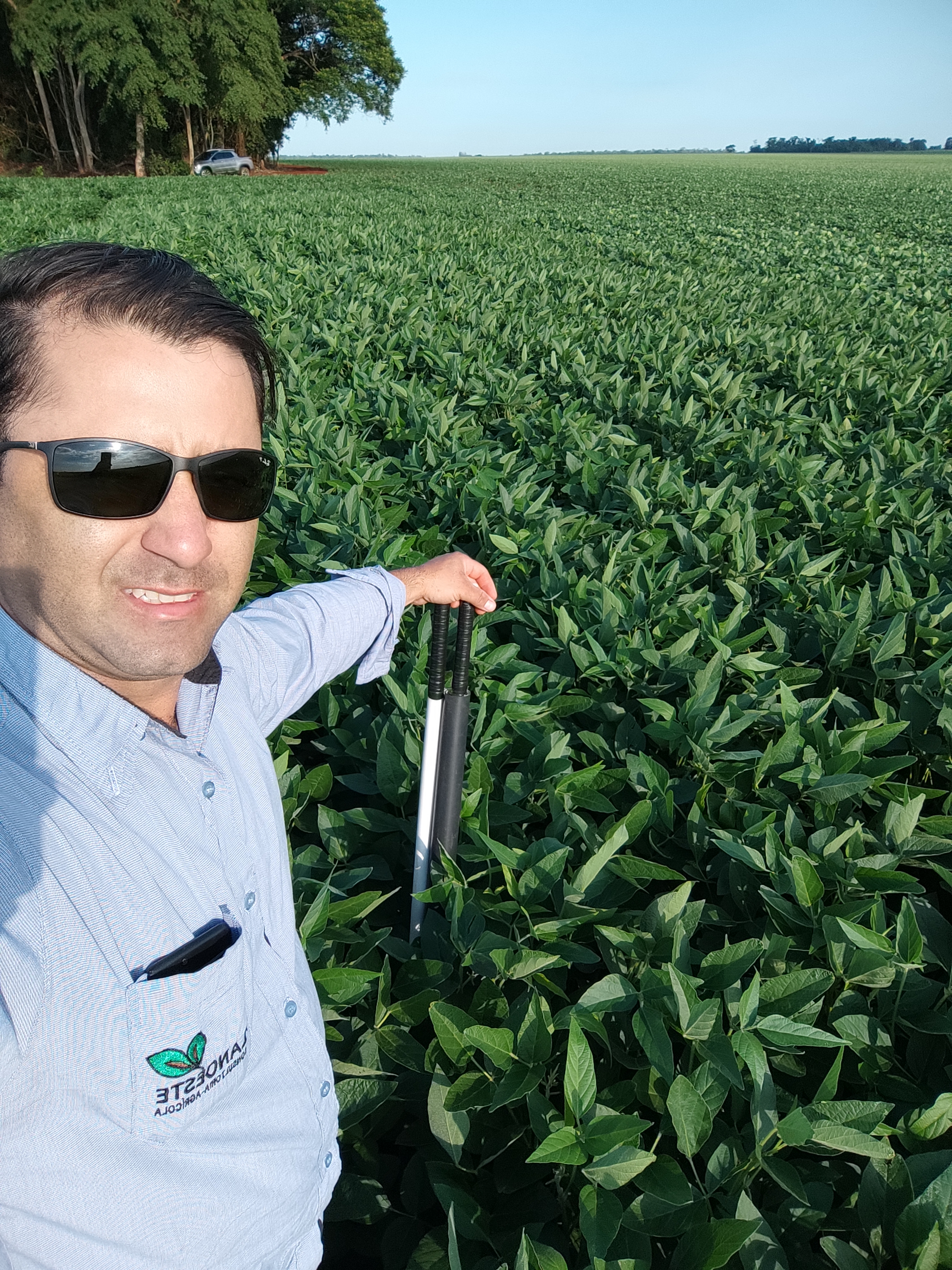 Campo 20
